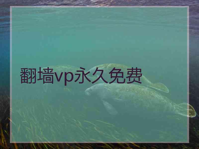 翻墙vp永久免费