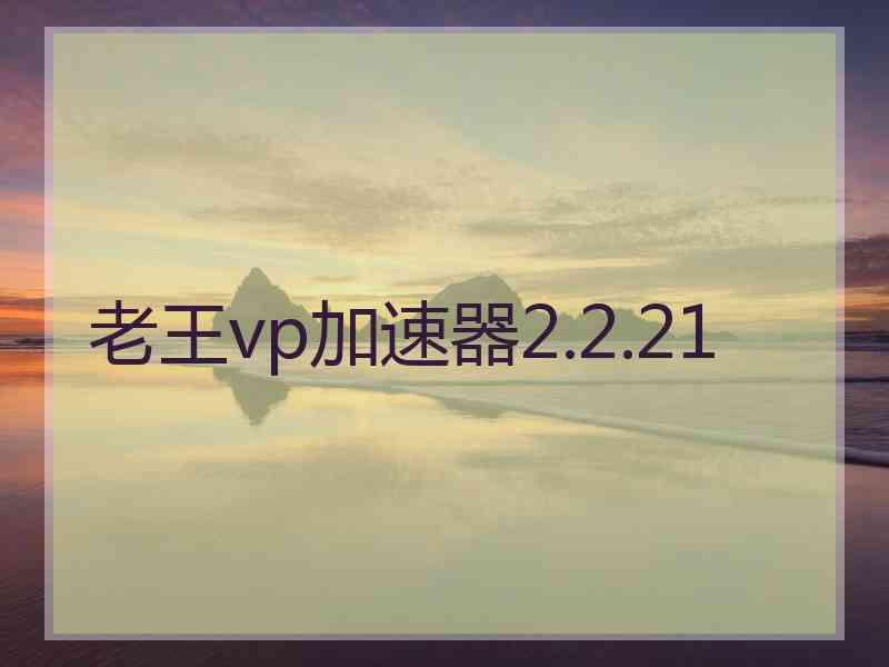 老王vp加速器2.2.21