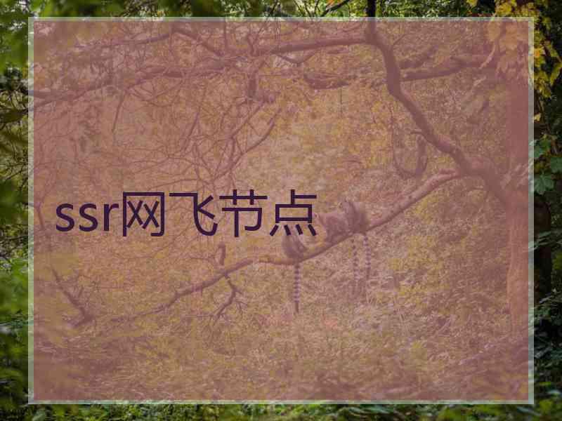 ssr网飞节点