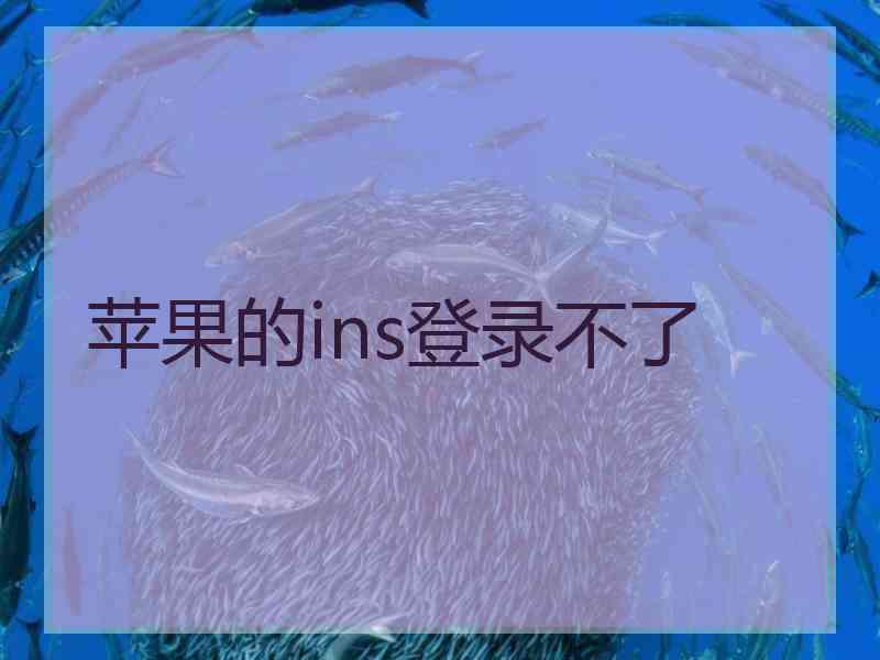 苹果的ins登录不了