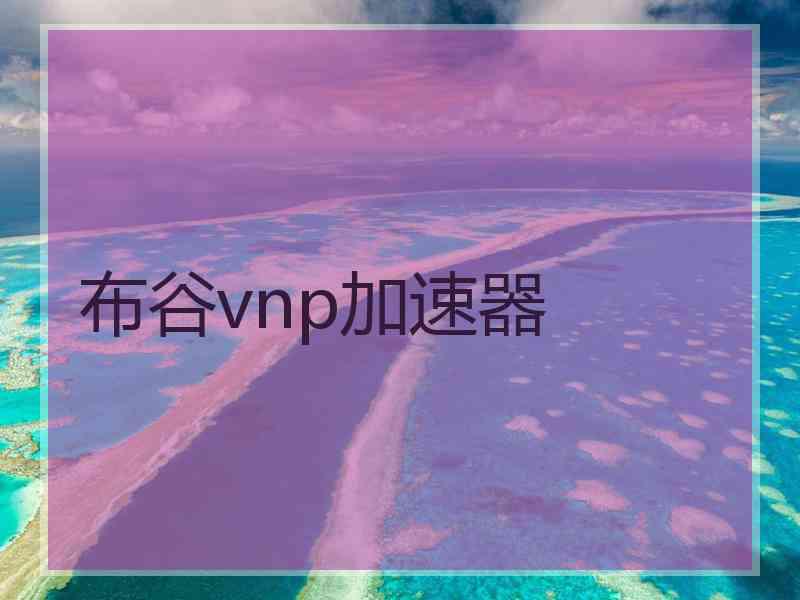 布谷vnp加速器