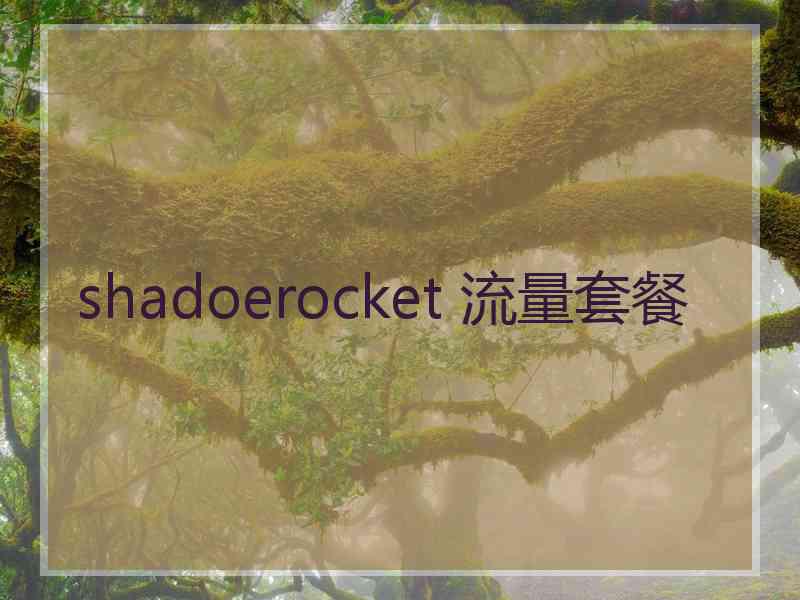 shadoerocket 流量套餐