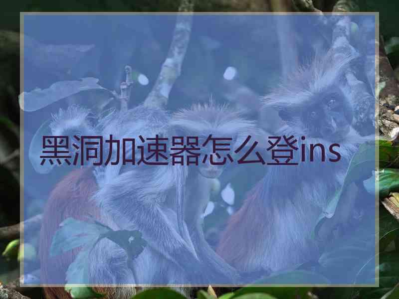 黑洞加速器怎么登ins