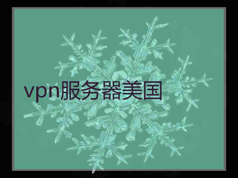 vpn服务器美国