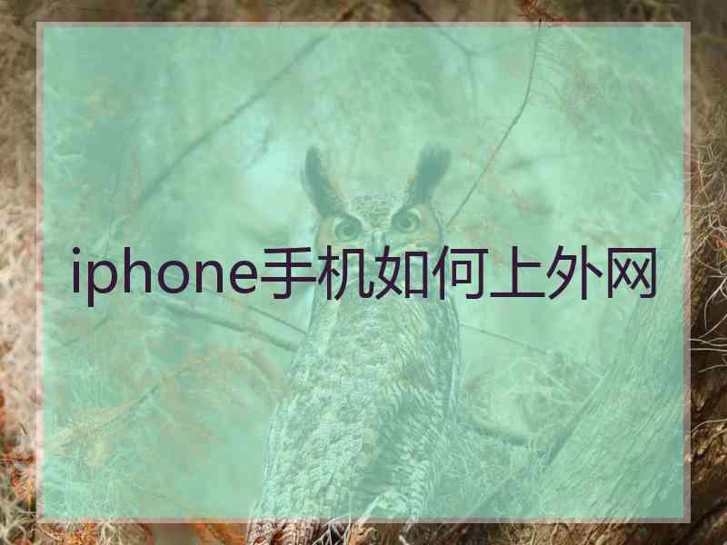 iphone手机如何上外网