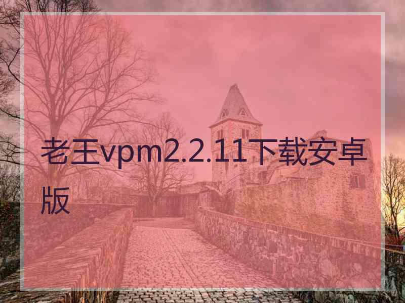 老王vpm2.2.11下载安卓版