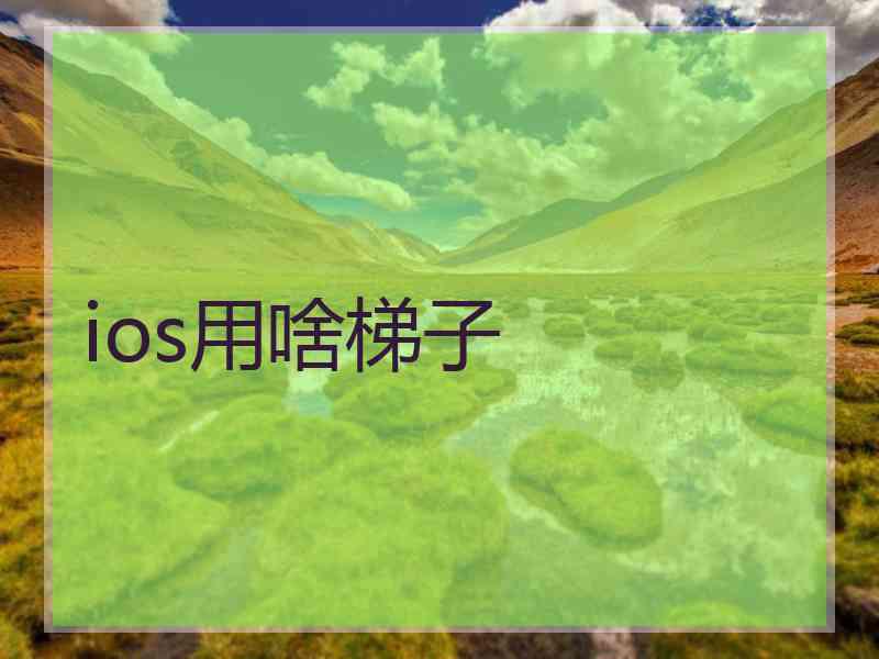 ios用啥梯子