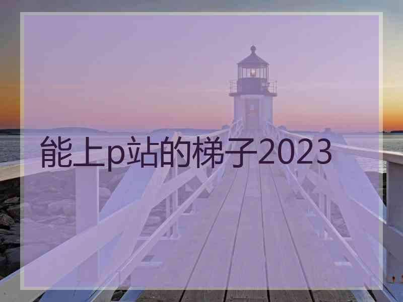 能上p站的梯子2023