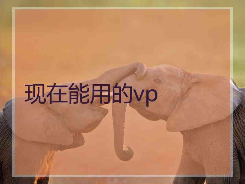 现在能用的vp