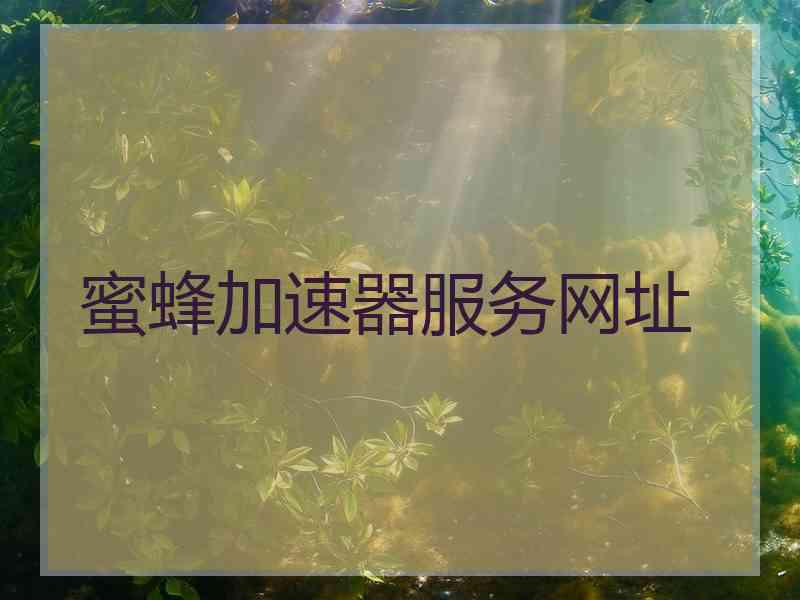 蜜蜂加速器服务网址