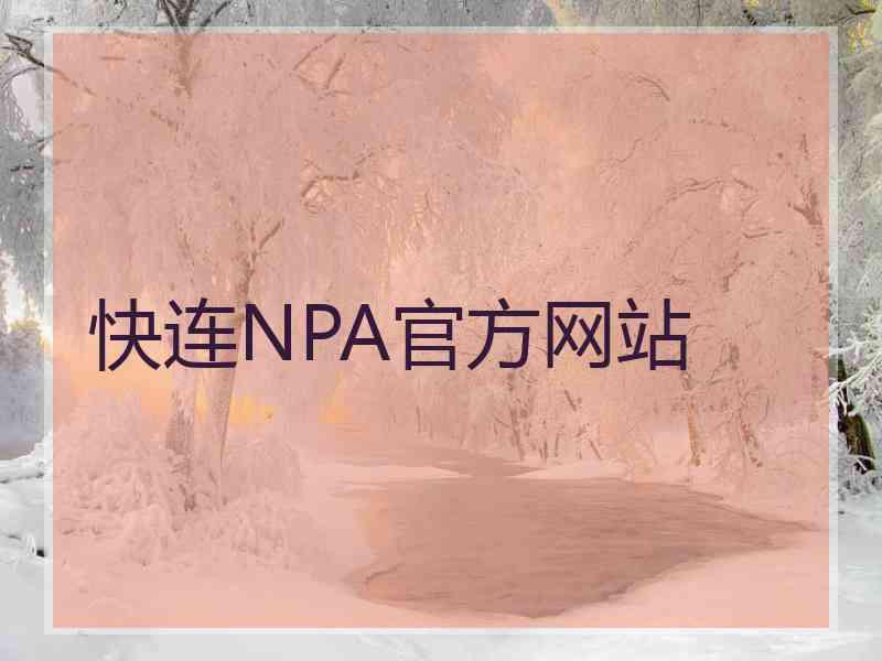 快连NPA官方网站