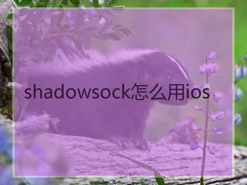 shadowsock怎么用ios