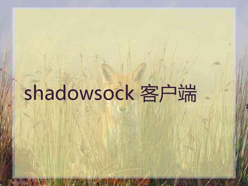 shadowsock 客户端