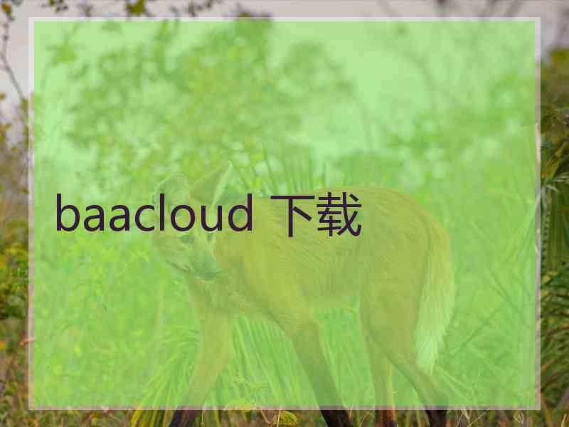 baacloud 下载