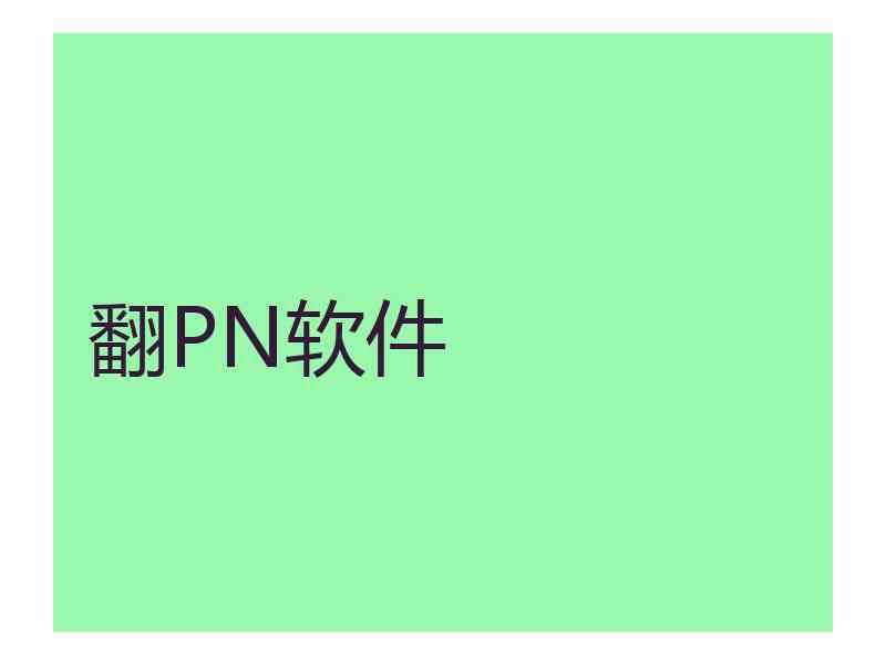 翻PN软件