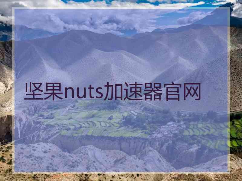 坚果nuts加速器官网