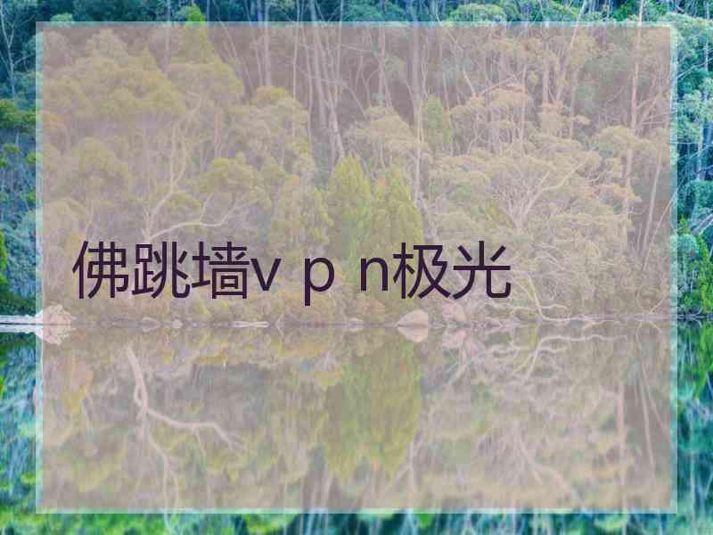 佛跳墙v p n极光