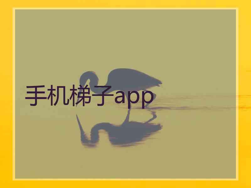 手机梯子app