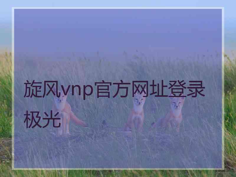 旋风vnp官方网址登录极光