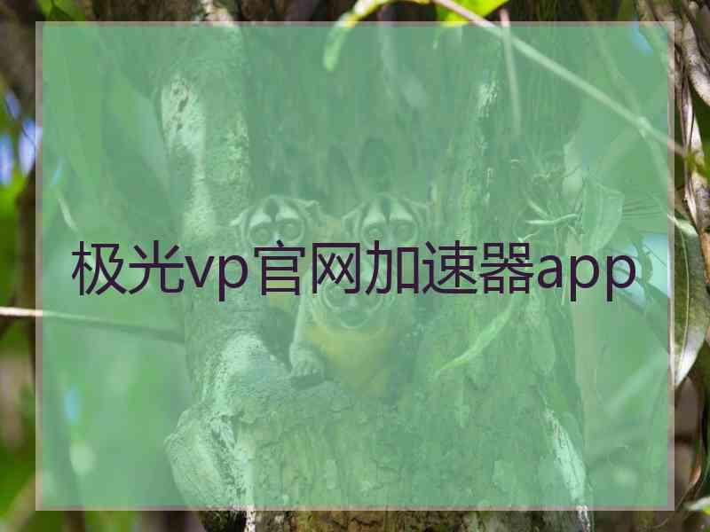 极光vp官网加速器app