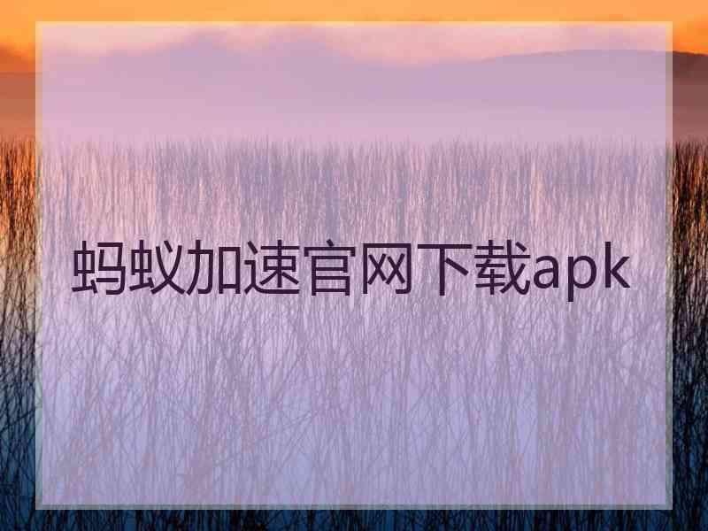 蚂蚁加速官网下载apk