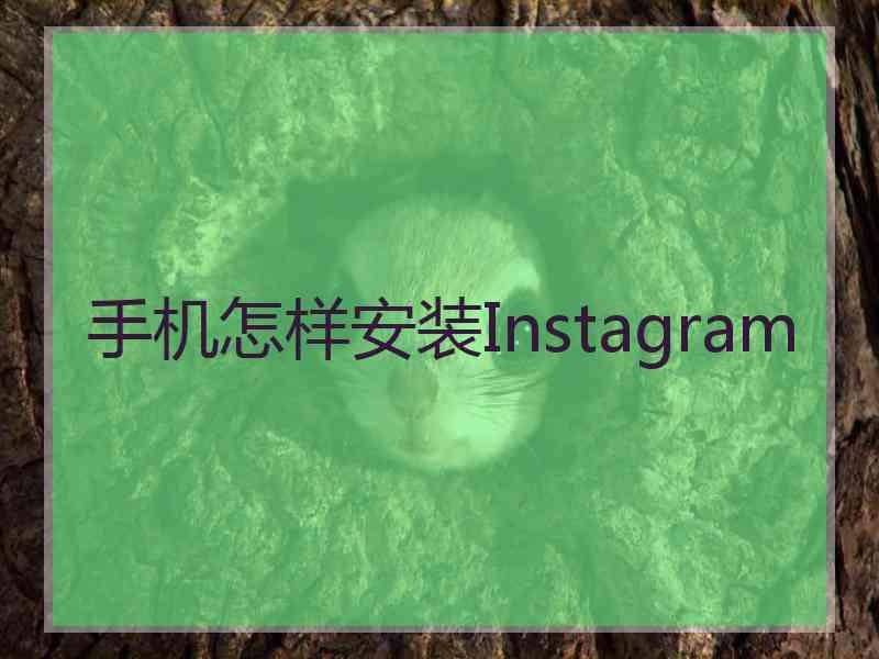 手机怎样安装Instagram