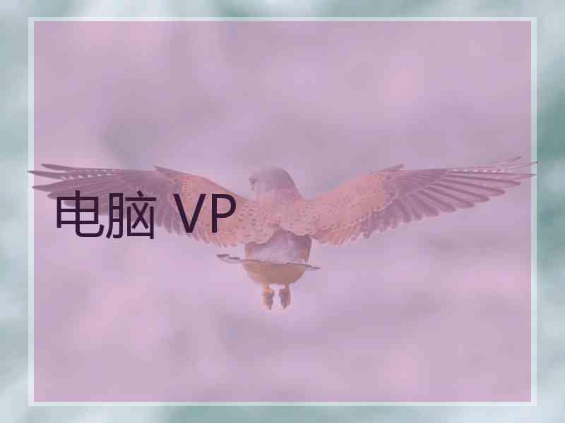 电脑 VP