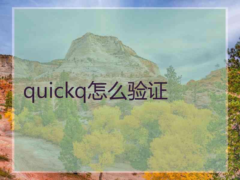 quickq怎么验证