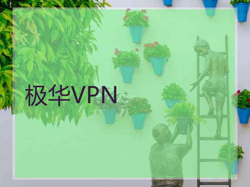 极华VPN