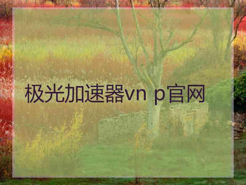 极光加速器vn p官网