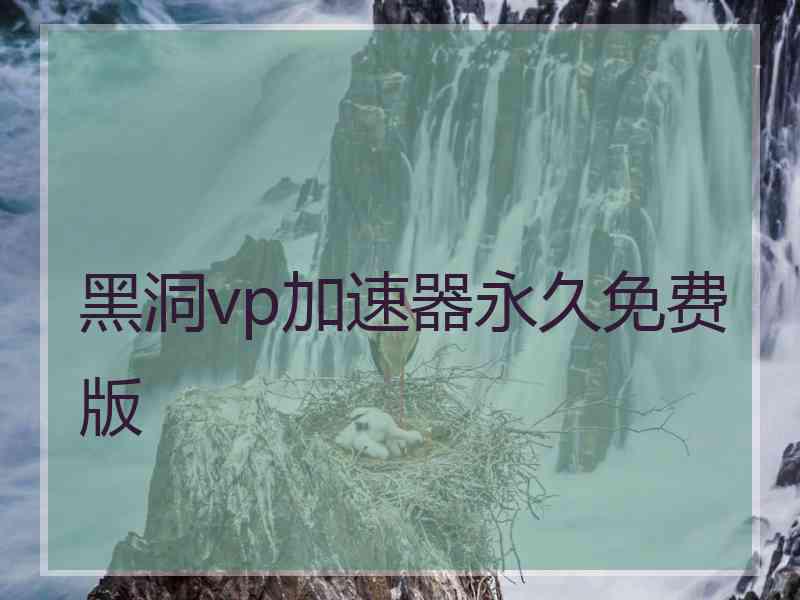 黑洞vp加速器永久免费版