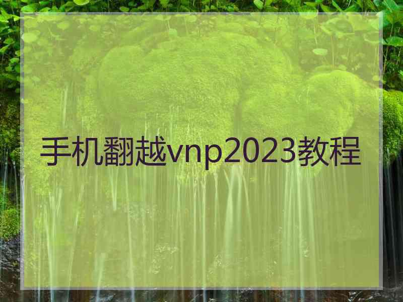 手机翻越vnp2023教程