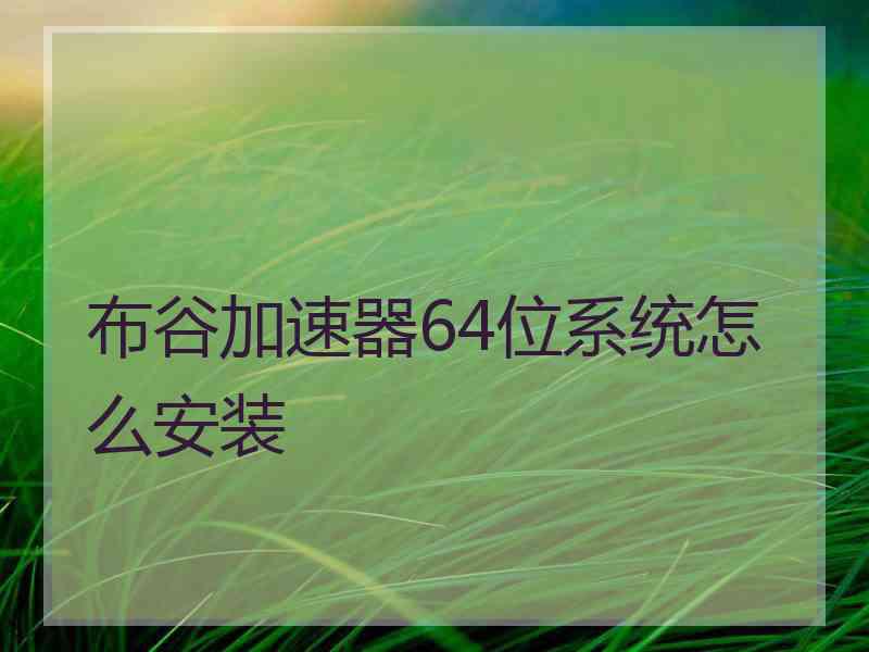 布谷加速器64位系统怎么安装