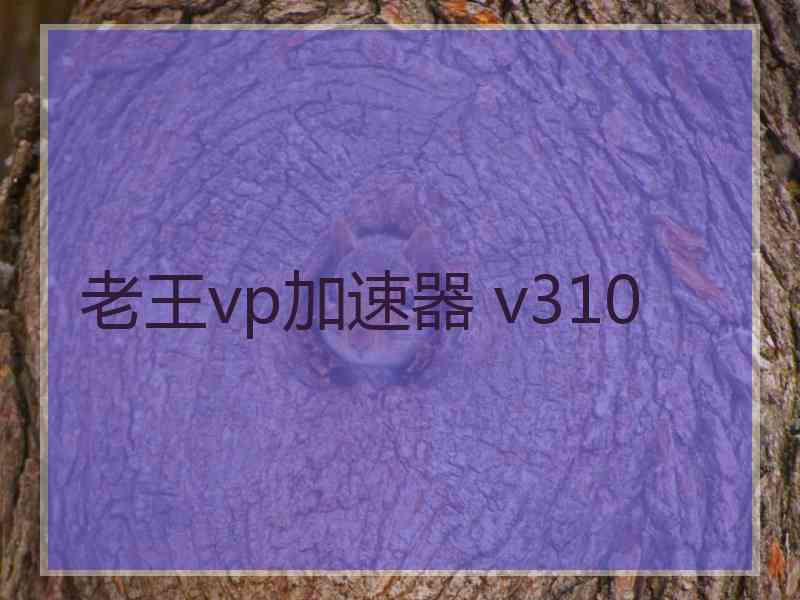 老王vp加速器 v310