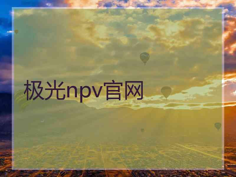 极光npv官网