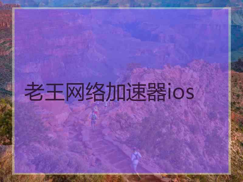 老王网络加速器ios