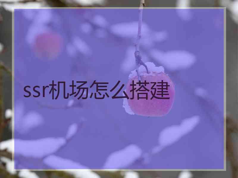 ssr机场怎么搭建