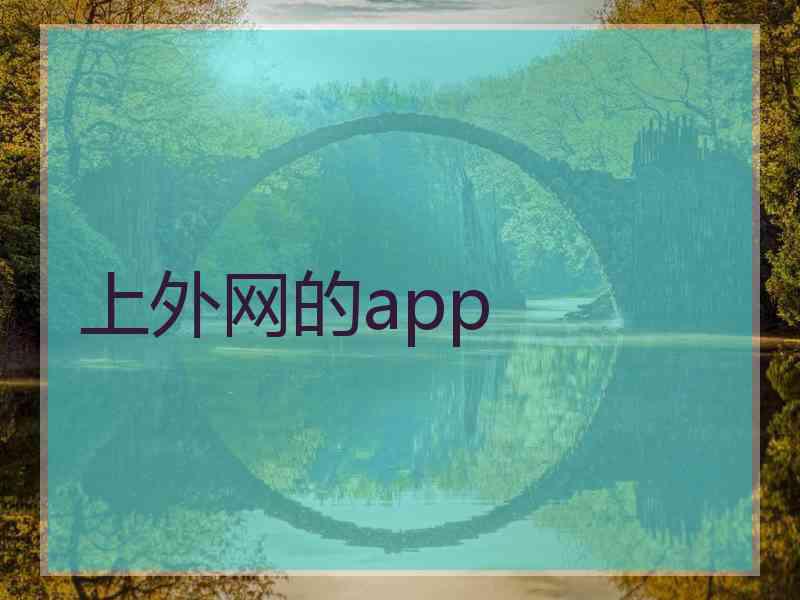 上外网的app