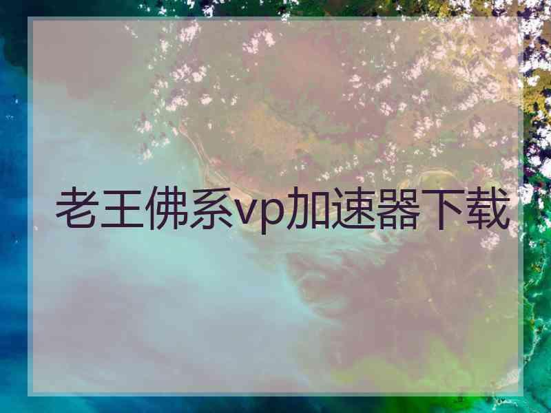 老王佛系vp加速器下载