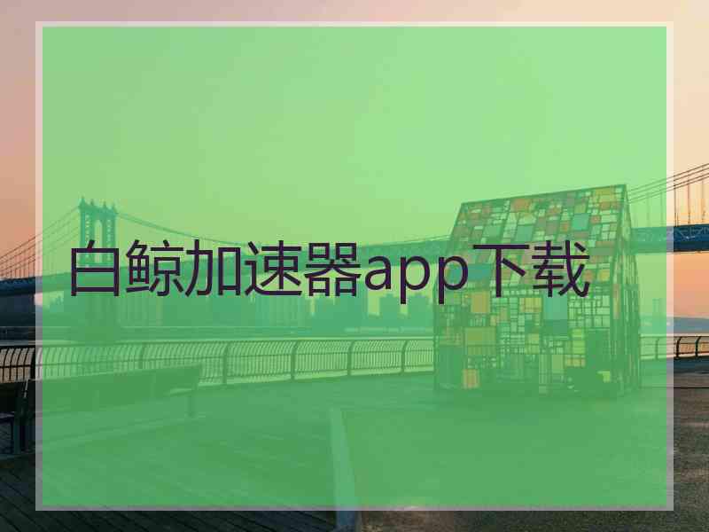 白鲸加速器app下载