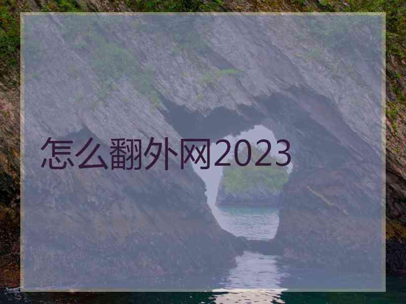 怎么翻外网2023