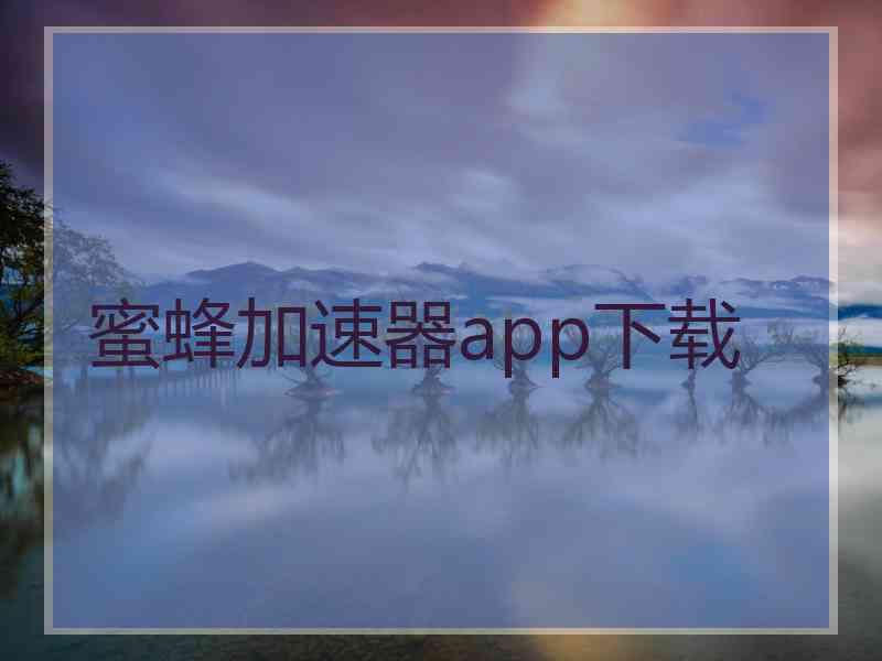 蜜蜂加速器app下载