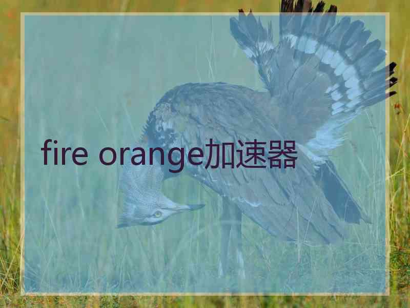 fire orange加速器