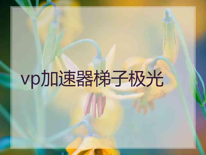 vp加速器梯子极光