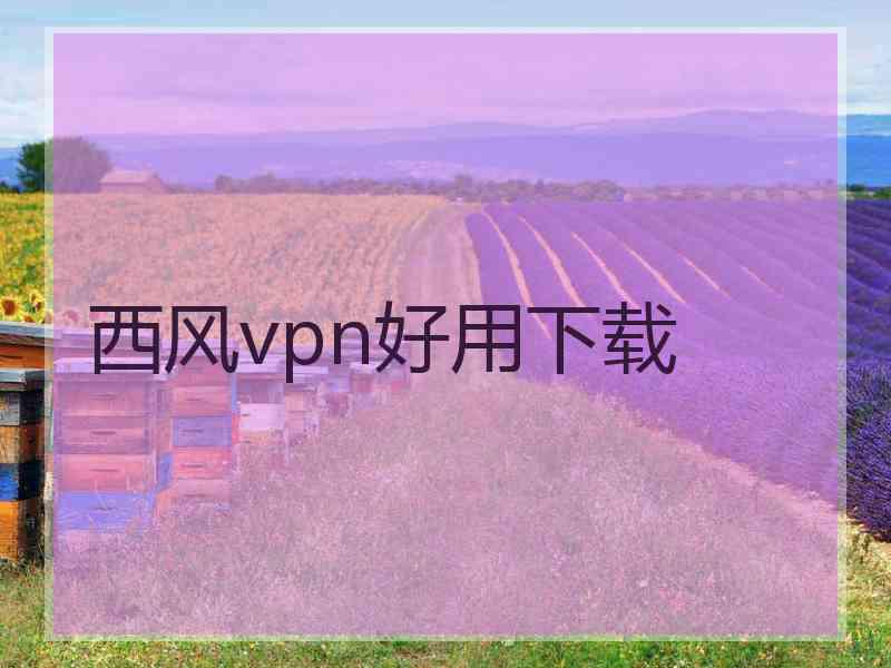 西风vpn好用下载