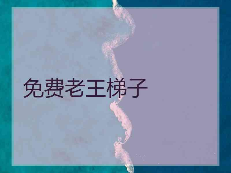 免费老王梯子