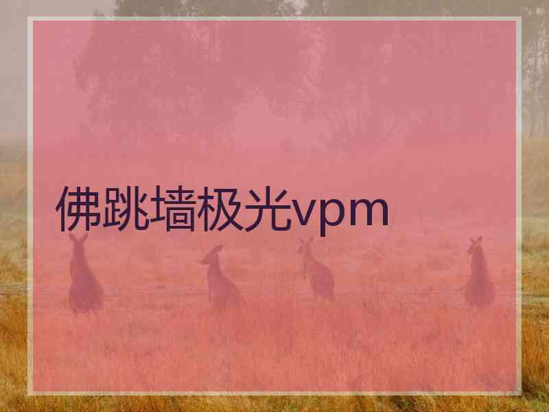 佛跳墙极光vpm