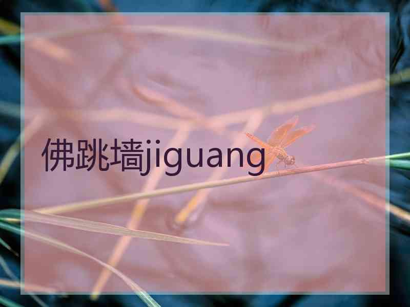 佛跳墙jiguang