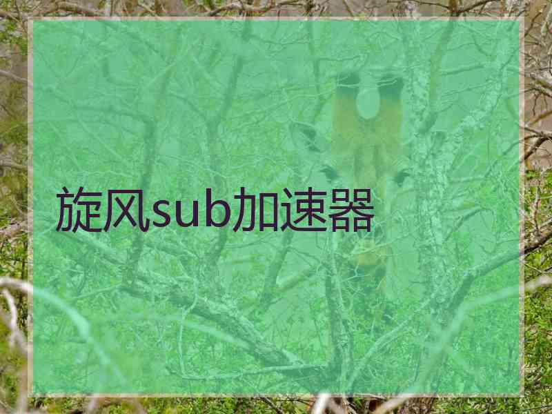 旋风sub加速器