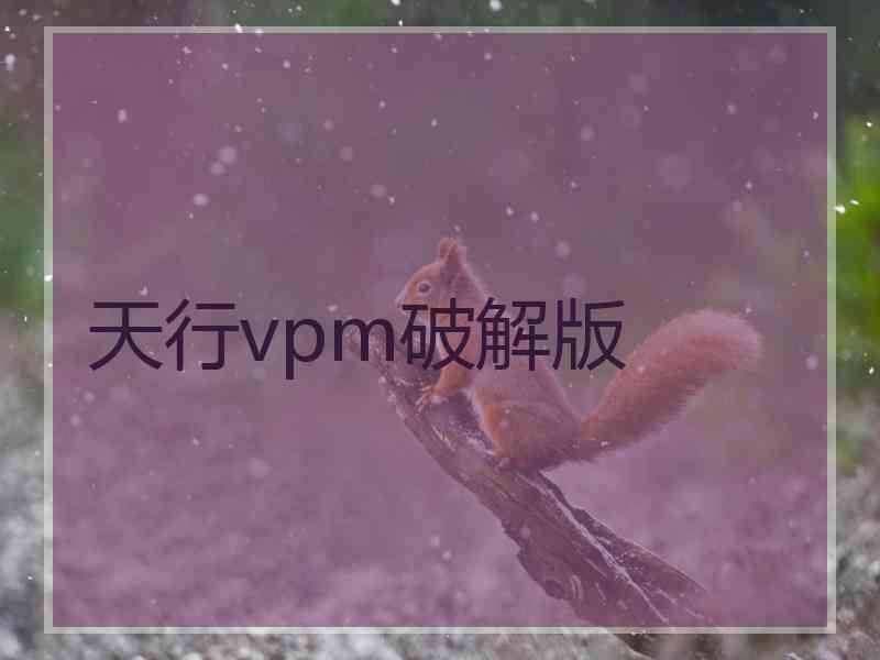 天行vpm破解版